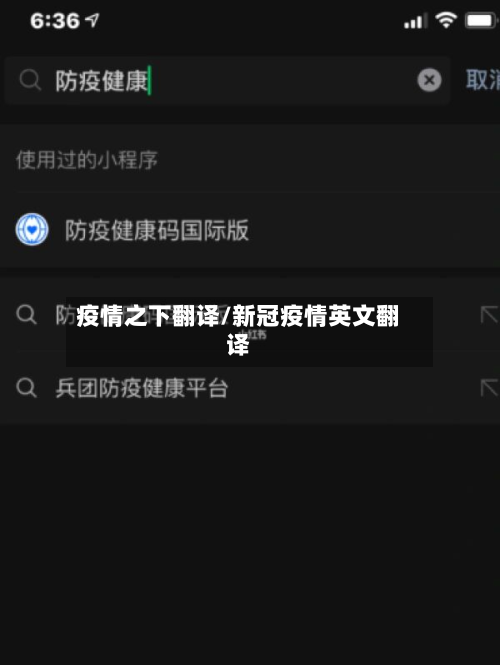 疫情之下翻译/新冠疫情英文翻译-第2张图片