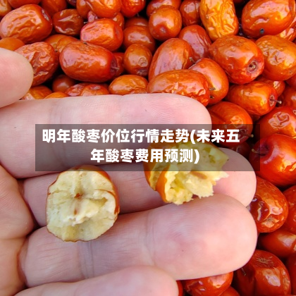 明年酸枣价位行情走势(未来五年酸枣费用预测)-第2张图片