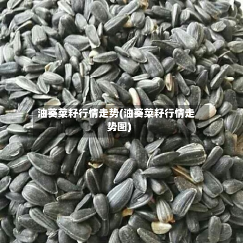 油葵菜籽行情走势(油葵菜籽行情走势图)-第2张图片