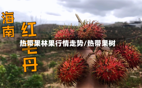 热带果林果行情走势/热带果树-第3张图片
