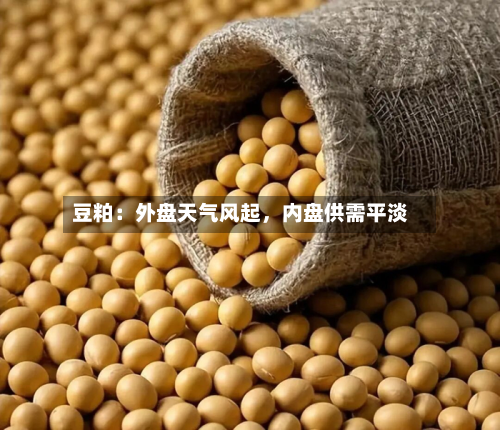 豆粕：外盘天气风起，内盘供需平淡-第1张图片