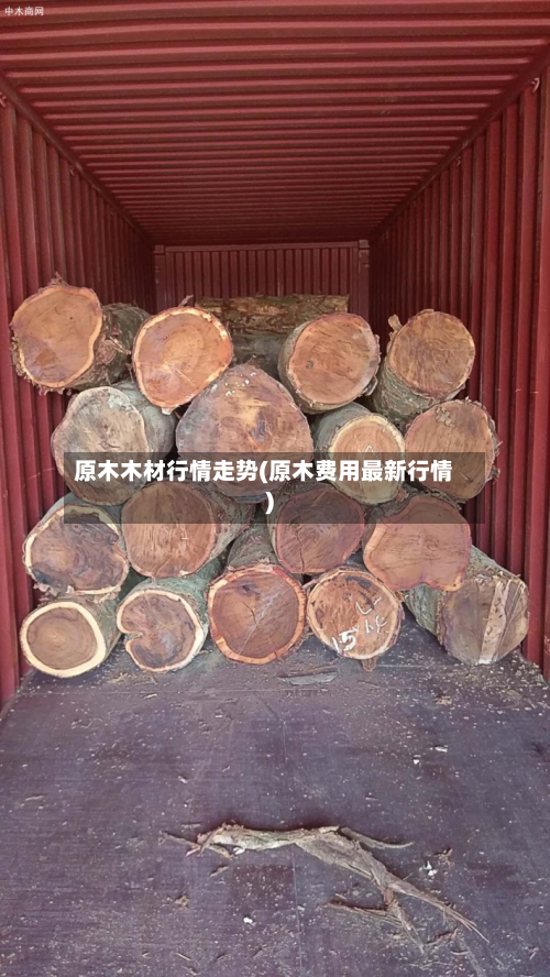 原木木材行情走势(原木费用最新行情)-第3张图片