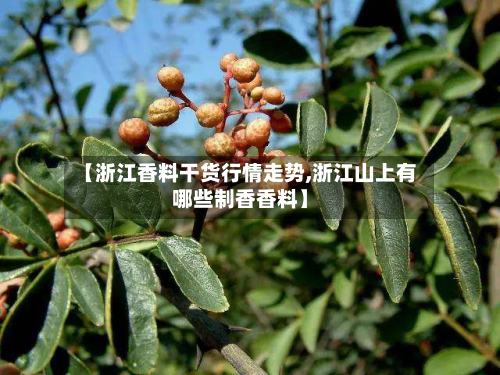 【浙江香料干货行情走势,浙江山上有哪些制香香料】-第2张图片