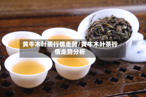 黄牛木叶茶行情走势/黄牛木叶茶行情走势分析-第1张图片
