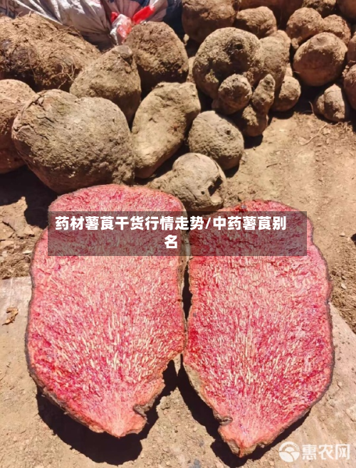 药材薯莨干货行情走势/中药薯莨别名-第1张图片