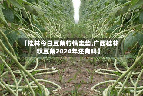 【桂林今日豆角行情走势,广西桂林秋豆角2024年还有吗】-第2张图片