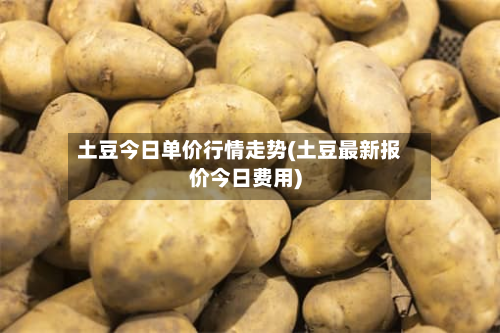 土豆今日单价行情走势(土豆最新报价今日费用)-第1张图片