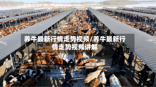 养牛最新行情走势视频/养牛最新行情走势视频讲解-第2张图片