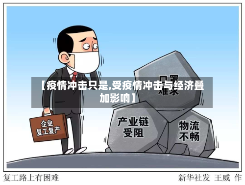 【疫情冲击只是,受疫情冲击与经济叠加影响】-第1张图片