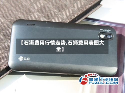 【石狮费用行情走势,石狮费用表图大全】-第2张图片