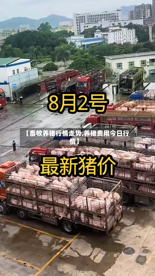 【畜牧养猪行情走势,养猪费用今日行情】-第3张图片