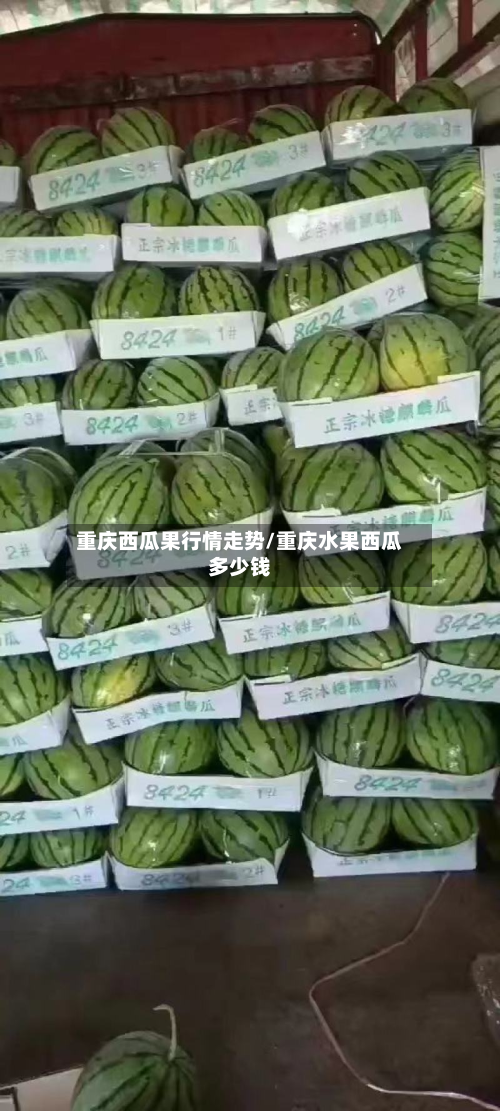 重庆西瓜果行情走势/重庆水果西瓜多少钱-第1张图片