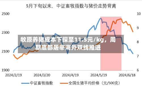 牧原养猪成本下探至11.5元/kg，周期底部屠宰海外双线推进-第1张图片