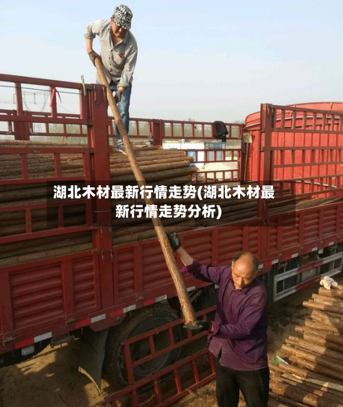湖北木材最新行情走势(湖北木材最新行情走势分析)-第3张图片