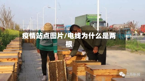疫情站点图片/电线为什么是两根-第1张图片