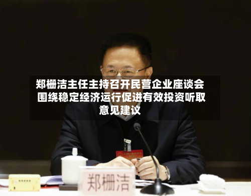 郑栅洁主任主持召开民营企业座谈会 围绕稳定经济运行促进有效投资听取意见建议-第1张图片
