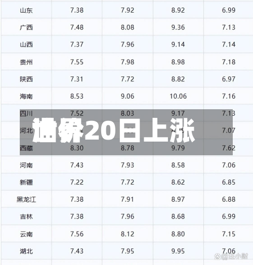 世界
油价20日上涨-第1张图片