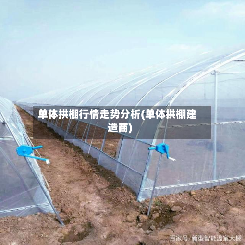 单体拱棚行情走势分析(单体拱棚建造商)-第1张图片
