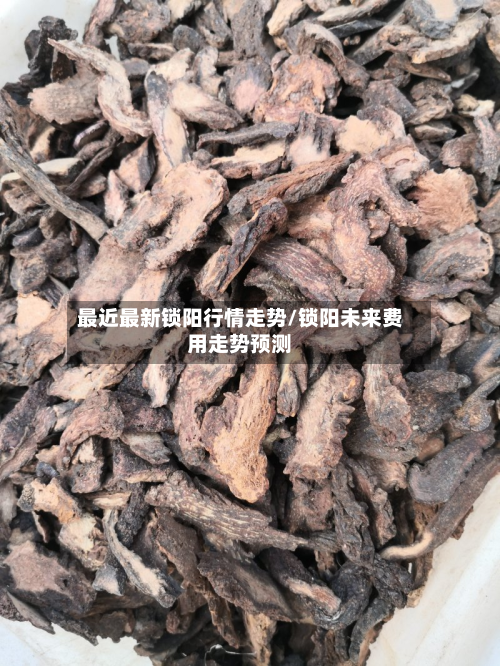 最近最新锁阳行情走势/锁阳未来费用走势预测-第1张图片