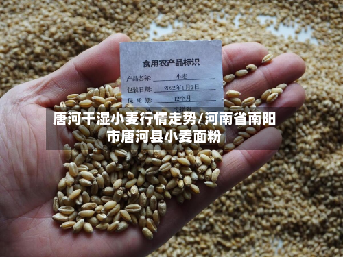 唐河干湿小麦行情走势/河南省南阳市唐河县小麦面粉-第1张图片