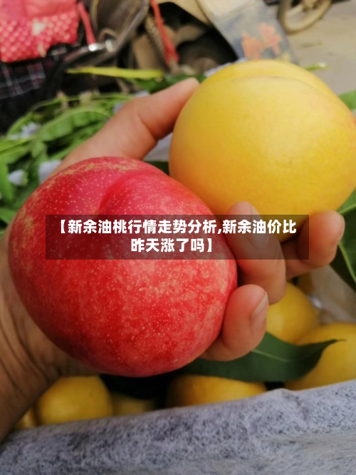 【新余油桃行情走势分析,新余油价比昨天涨了吗】-第3张图片