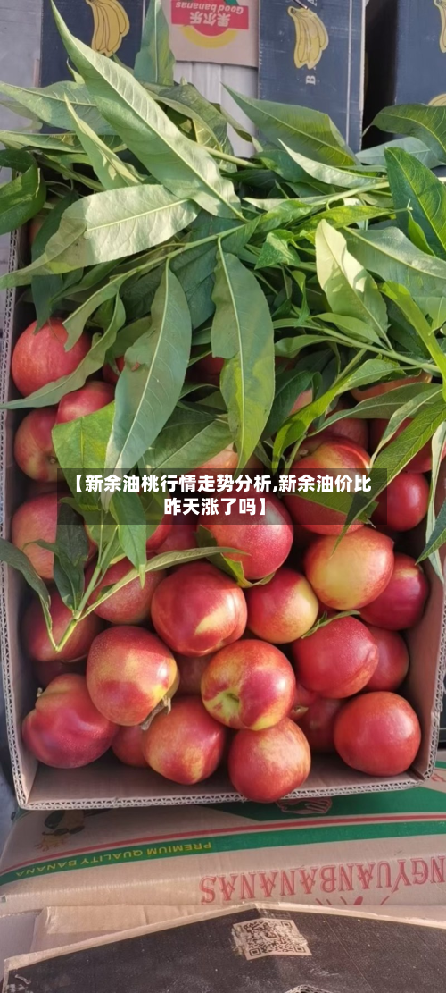 【新余油桃行情走势分析,新余油价比昨天涨了吗】-第1张图片