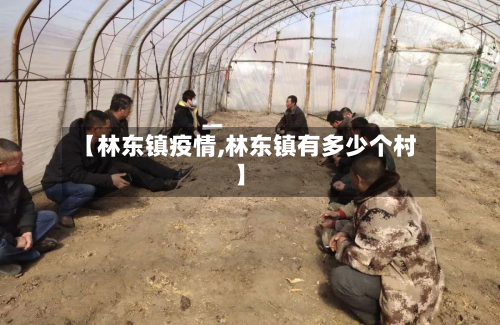 【林东镇疫情,林东镇有多少个村】-第1张图片