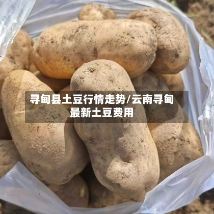 寻甸县土豆行情走势/云南寻甸最新土豆费用-第2张图片