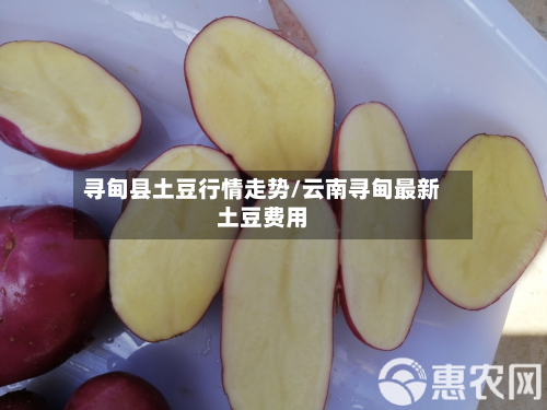 寻甸县土豆行情走势/云南寻甸最新土豆费用-第3张图片