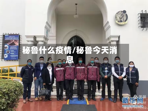 秘鲁什么疫情/秘鲁今天消息-第2张图片