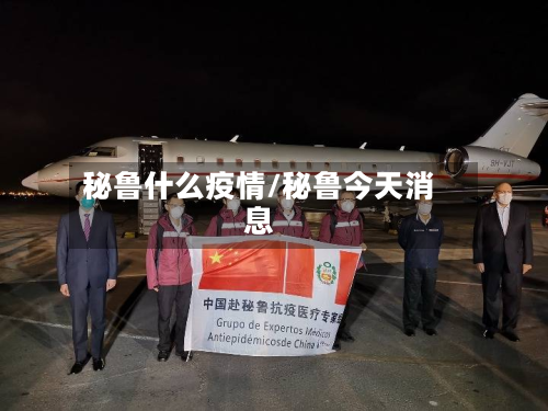 秘鲁什么疫情/秘鲁今天消息-第3张图片