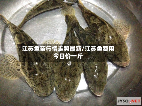 江苏鱼苗行情走势最新/江苏鱼费用今日价一斤-第1张图片