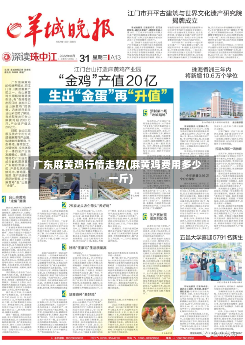 广东麻黄鸡行情走势(麻黄鸡费用多少一斤)-第2张图片