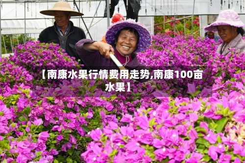 【南康水果行情费用走势,南康100亩水果】-第2张图片
