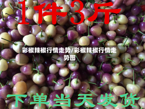 彩椒辣椒行情走势/彩椒辣椒行情走势图-第2张图片