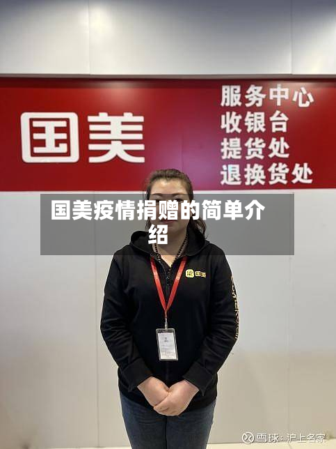 国美疫情捐赠的简单介绍-第3张图片