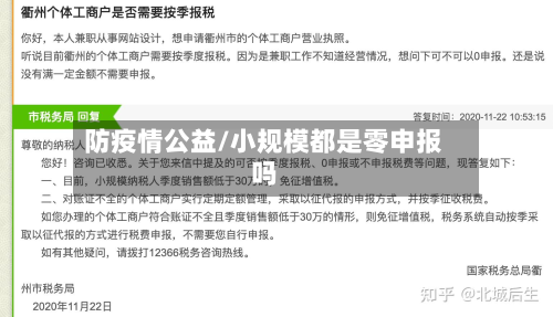 防疫情公益/小规模都是零申报吗-第2张图片