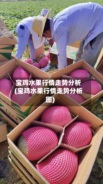宝鸡水果行情走势分析(宝鸡水果行情走势分析图)-第1张图片