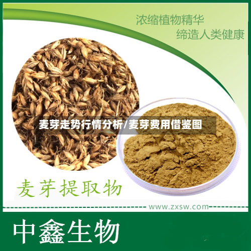 麦芽走势行情分析/麦芽费用借鉴图-第1张图片