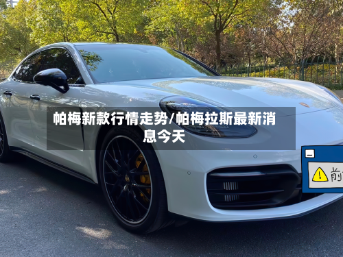 帕梅新款行情走势/帕梅拉斯最新消息今天-第1张图片