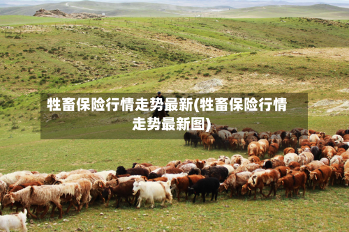 牲畜保险行情走势最新(牲畜保险行情走势最新图)-第2张图片