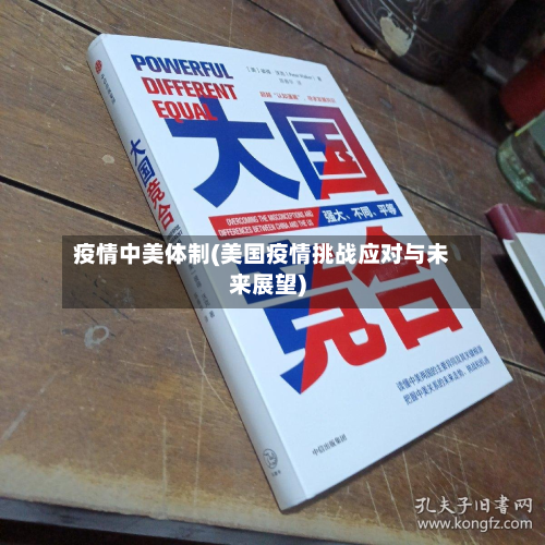 疫情中美体制(美国疫情挑战应对与未来展望)-第2张图片