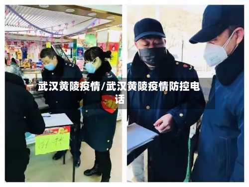 武汉黄陵疫情/武汉黄陵疫情防控电话-第2张图片