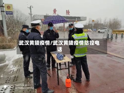 武汉黄陵疫情/武汉黄陵疫情防控电话-第1张图片