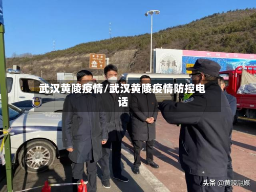 武汉黄陵疫情/武汉黄陵疫情防控电话-第3张图片