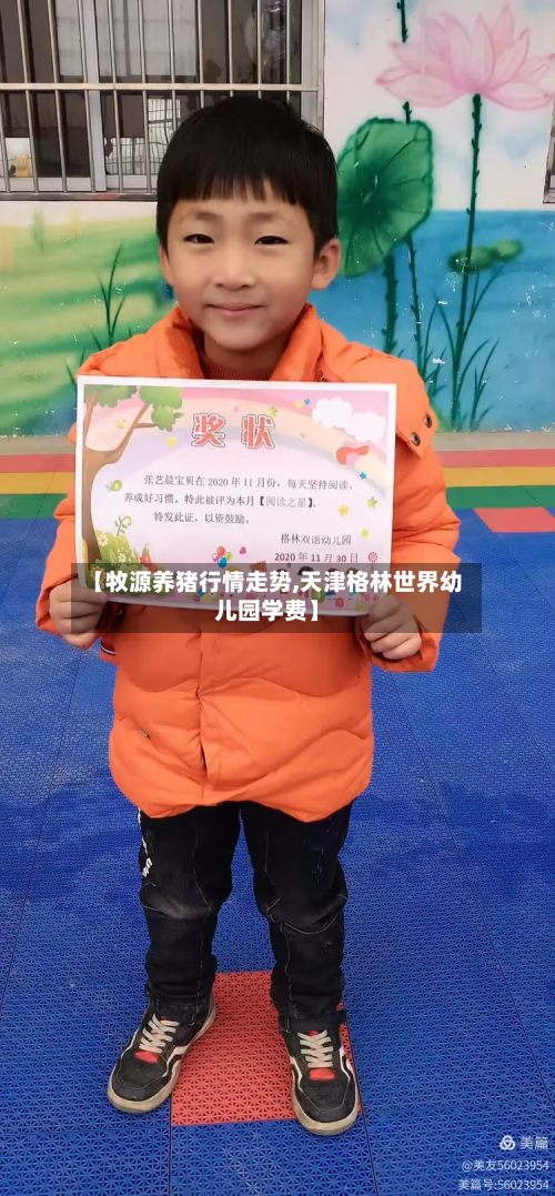 【牧源养猪行情走势,天津格林世界幼儿园学费】-第1张图片