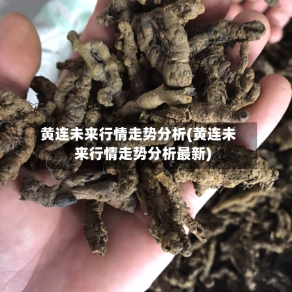 黄连未来行情走势分析(黄连未来行情走势分析最新)-第2张图片