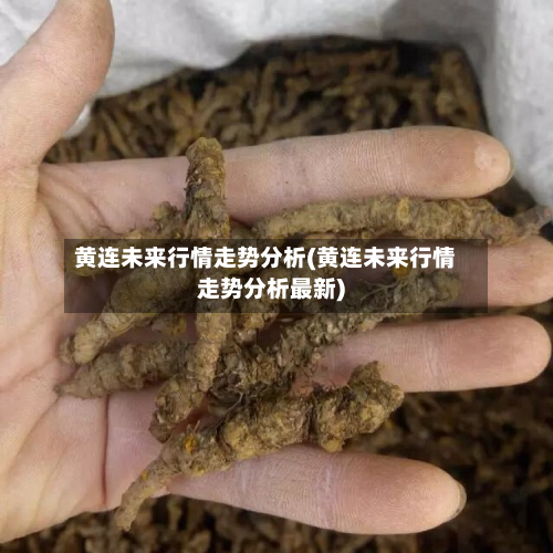 黄连未来行情走势分析(黄连未来行情走势分析最新)-第1张图片