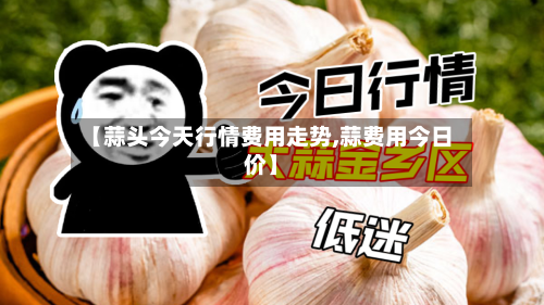 【蒜头今天行情费用走势,蒜费用今日价】-第2张图片