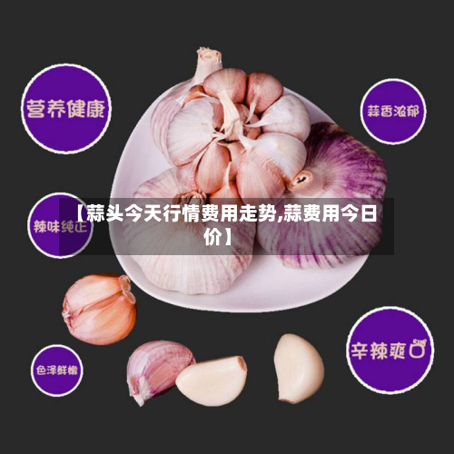 【蒜头今天行情费用走势,蒜费用今日价】-第3张图片